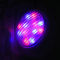 Luce variopinta di vetro dello stagno di nuotata 72W della lampadina RGBW